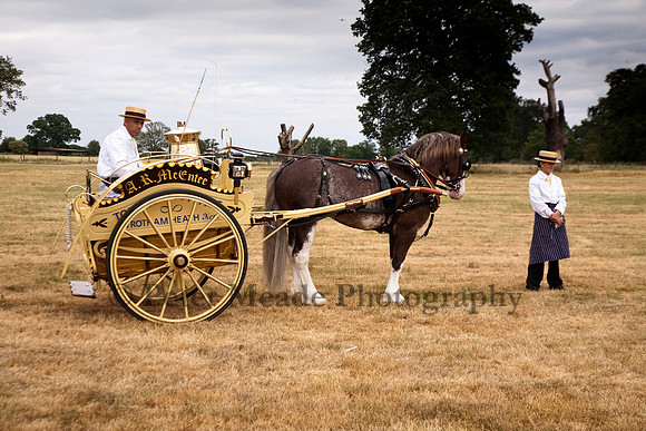 Warfield Driving Show 2010