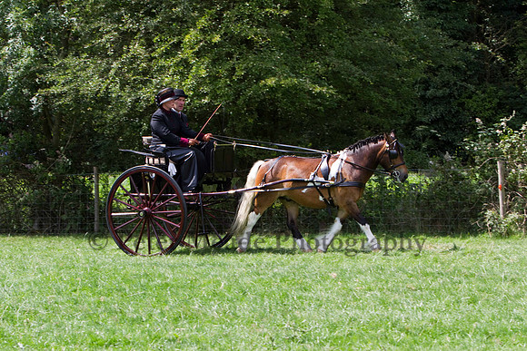 Warfield Driving show 2011