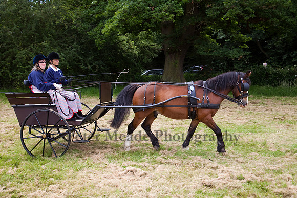 Warfield Driving Show 2012