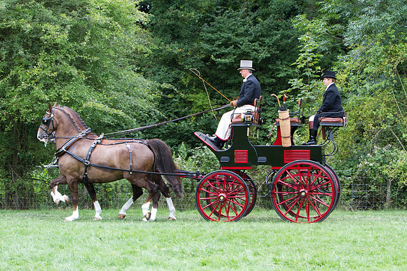 Warfield Driving show 2011