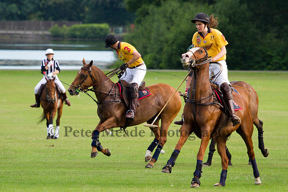 Summer Night's Polo