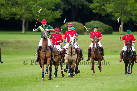 AGC Polo Cup 2011