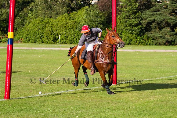 Summer Night's Polo