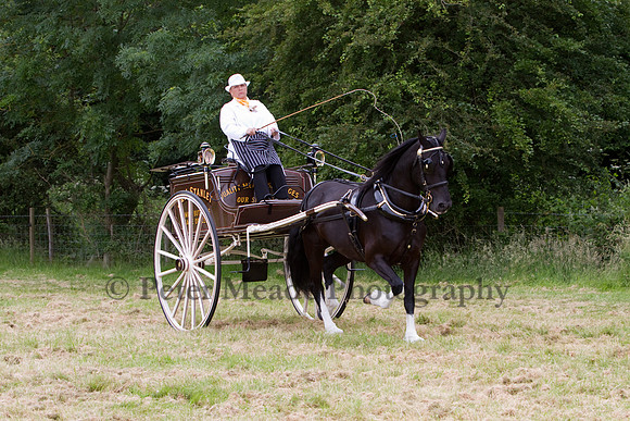 Warfield Driving Show 2012