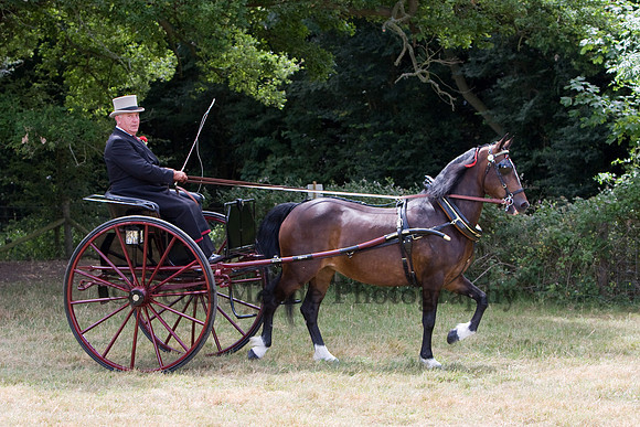 Warfield Driving show 2009