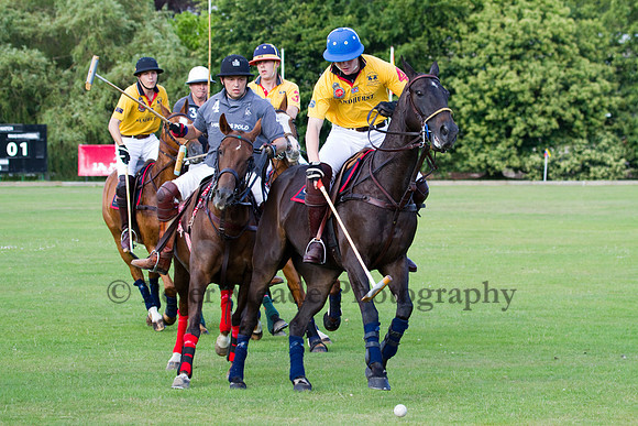 Summer Night's Polo
