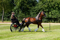 IMG_1783