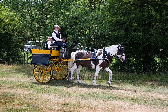 Warfield Driving Show 2010