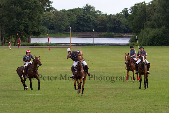 Summer Night's Polo