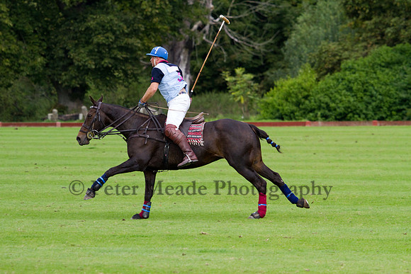 AGC Polo Cup 2011