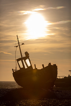 135A8943