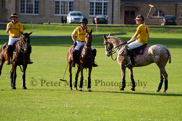 Summer Night's Polo