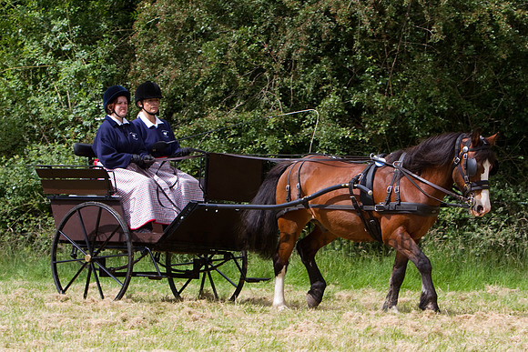 Warfield Driving Show 2012