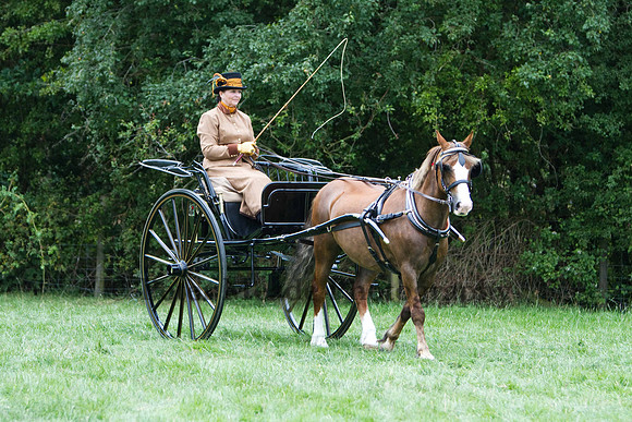 Warfield Driving show 2011
