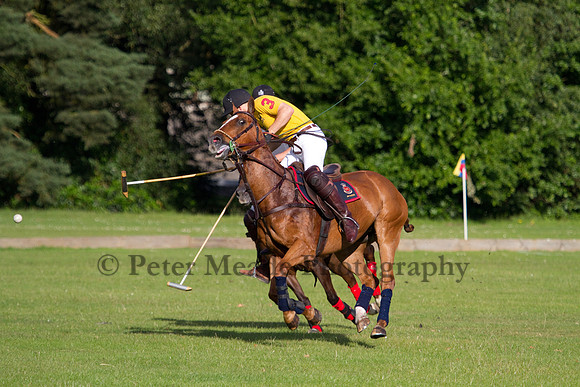 Summer Night's Polo