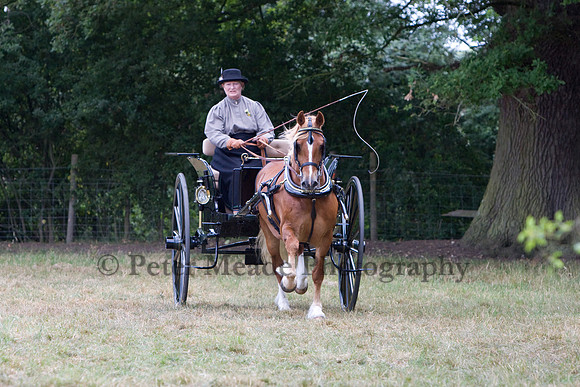 Warfield Driving show 2009