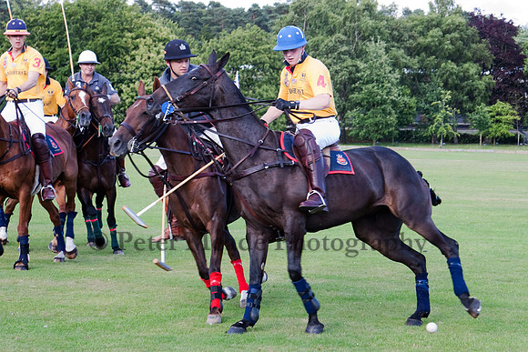 Summer Night's Polo