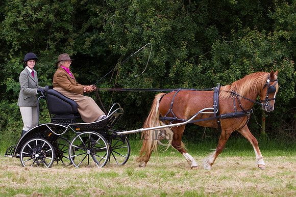 Warfield Driving Show 2012