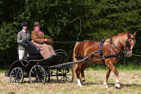 Warfield Driving Show 2012