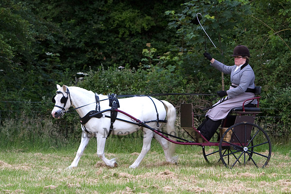 Warfield Driving Show 2012