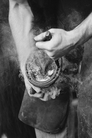 20834_002-0026_a