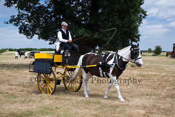 Warfield Driving Show 2010