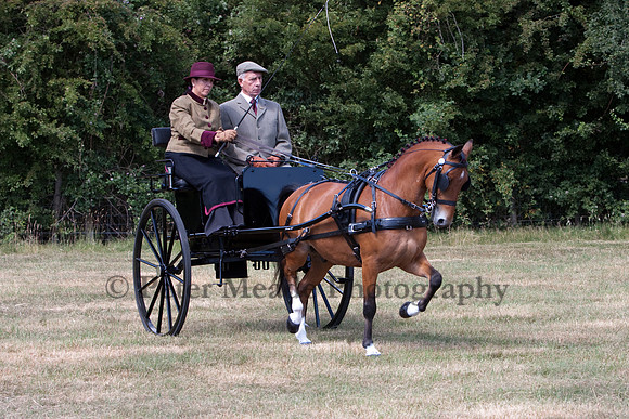 Warfield Driving Show 2010