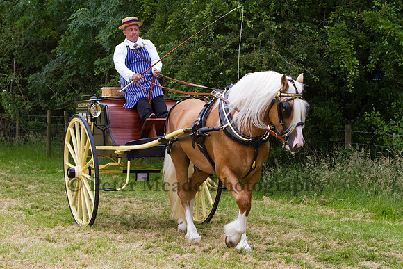 Warfield Driving Show 2012