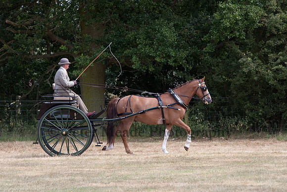 Warfield Driving Show 2010