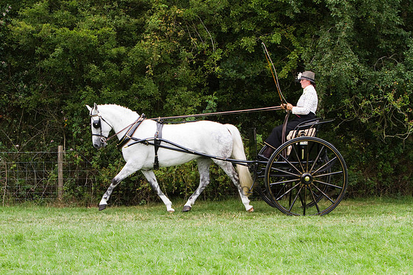 Warfield Driving show 2011