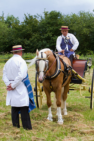 Warfield Driving Show 2012