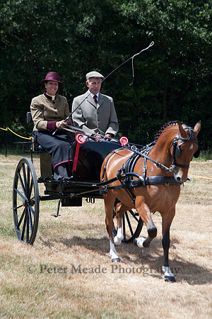 Warfield Driving Show 2010