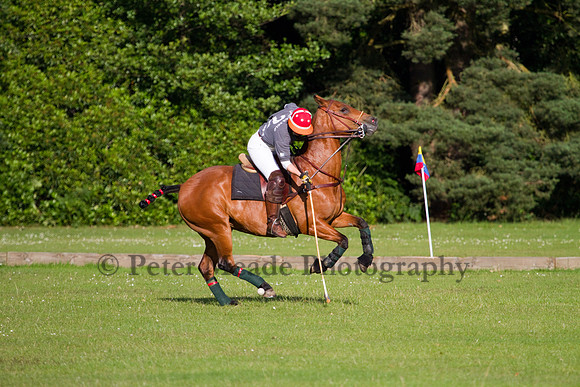 Summer Night's Polo