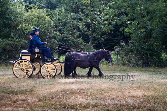 Warfield Driving Show 2010