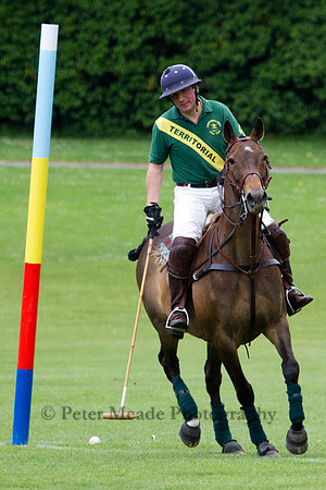 Royal Artillery Polo Tournament