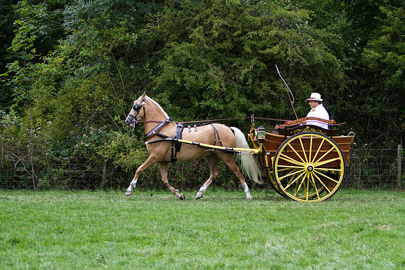 Warfield Driving show 2011