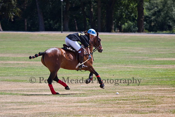 HAC Ultimate Polo 2010