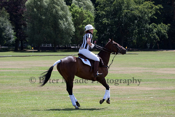 HAC Ultimate Polo 2010