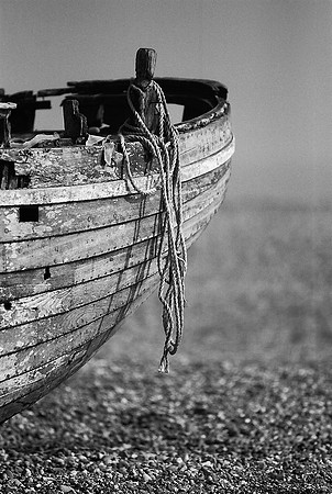 Dungeness