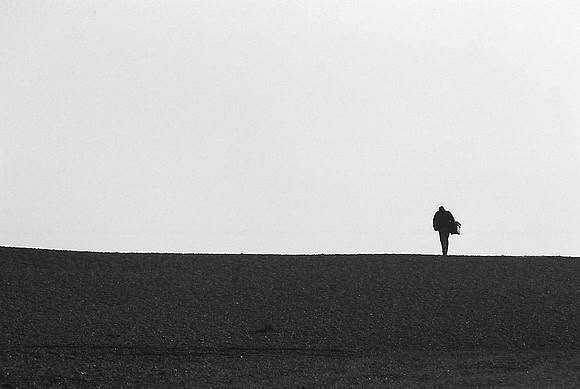 Dungeness