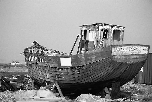 Dungeness