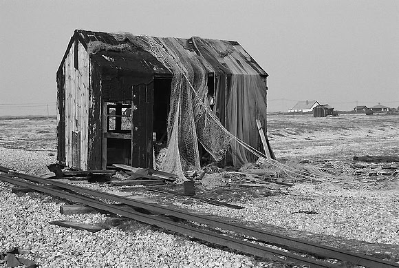Dungeness