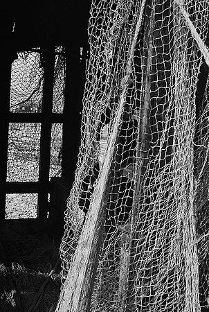 Dungeness