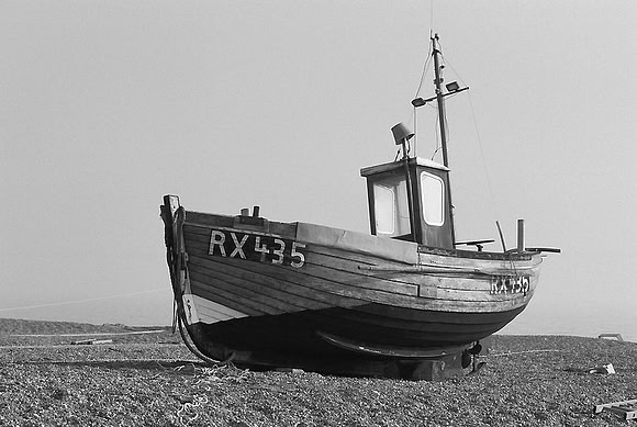 Dungeness