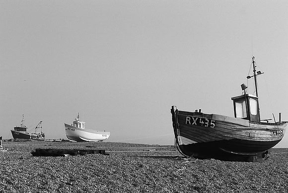 Dungeness