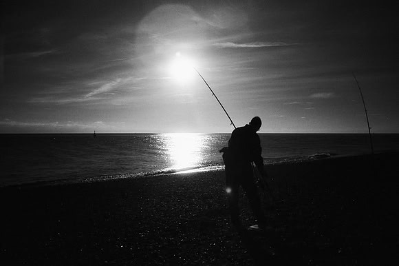 Dungeness