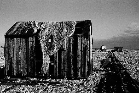 Dungeness