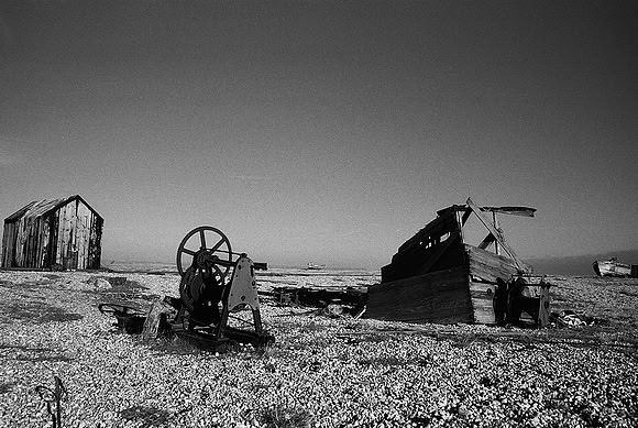 Dungeness