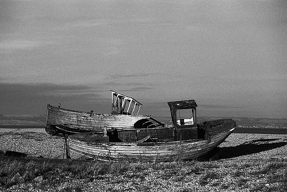 Dungeness