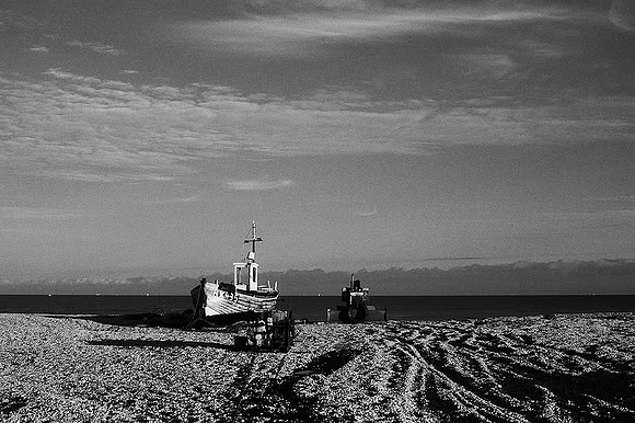 Dungeness